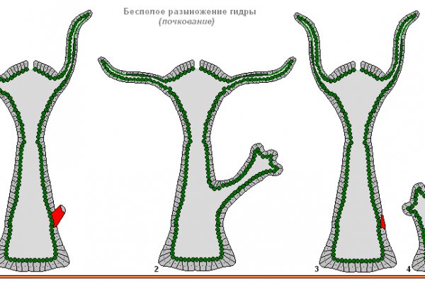 Кракен сайт 2krnk