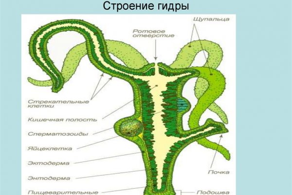 Кракен оф